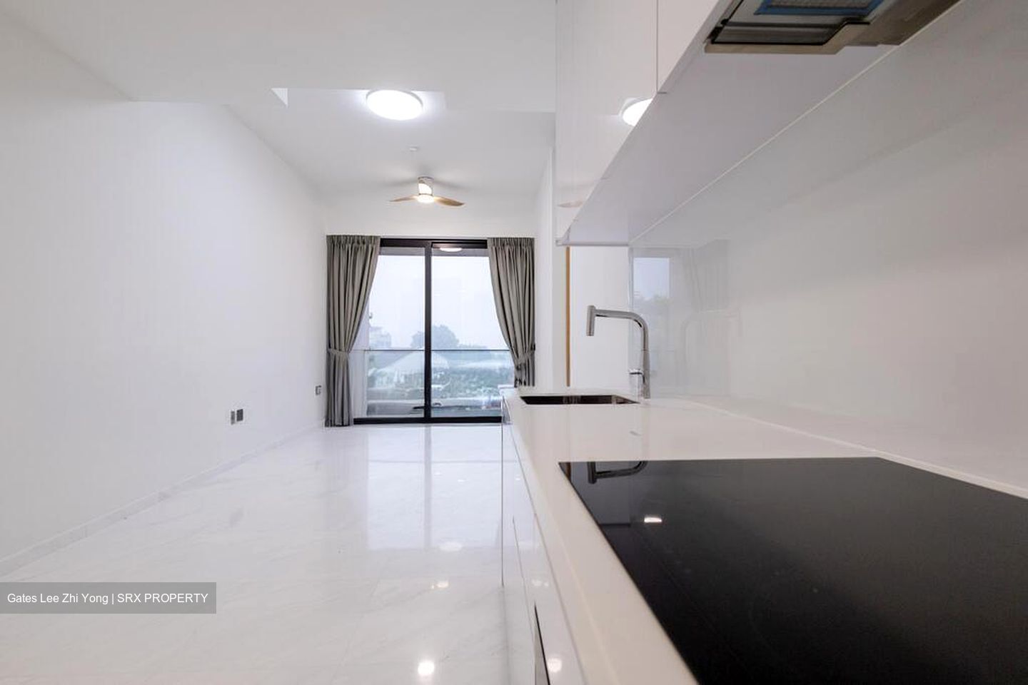 Peak Residence (D11), Condominium #519537991